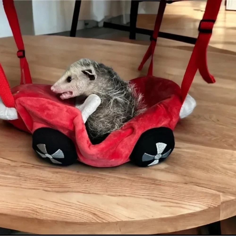 COPY - COPY - COPY - RACECAR SLEEPER HAMMOCK HANGING BED